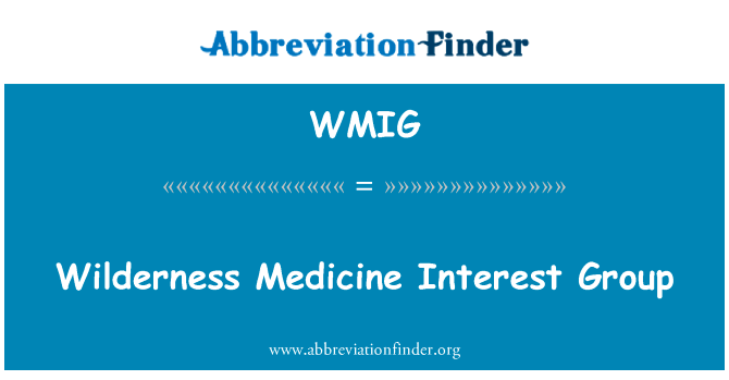Wilderness Medicine Interest Group的定义