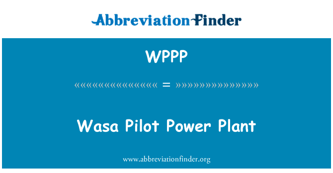 Wasa Pilot Power Plant的定义