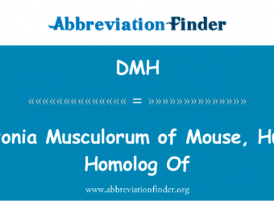 肌张力障碍的老鼠，人类同源的 Musculorum英文定义是Dystonia Musculorum of Mouse, Human Homolog Of,首字母缩写定义是DMH