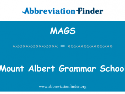 装入何俊仁文法学校英文定义是Mount Albert Grammar School,首字母缩写定义是MAGS