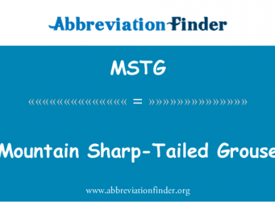 山滨松鸡英文定义是Mountain Sharp-Tailed Grouse,首字母缩写定义是MSTG