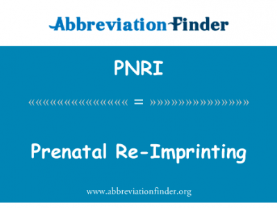 产前重新印迹英文定义是Prenatal Re-Imprinting,首字母缩写定义是PNRI