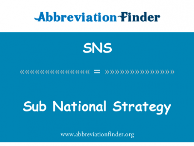 亚国家战略英文定义是Sub National Strategy,首字母缩写定义是SNS