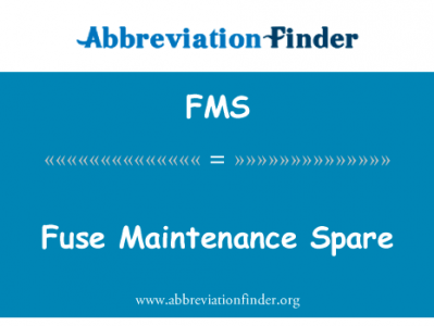 保险丝维修备品备件英文定义是Fuse Maintenance Spare,首字母缩写定义是FMS