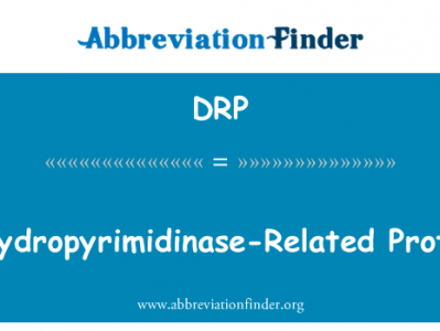 二氢嘧啶酶相关蛋白英文定义是Dihydropyrimidinase-Related Protein,首字母缩写定义是DRP