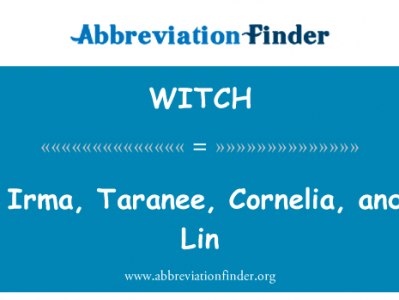 会，艾玛，Taranee，科妮莉亚，和干草林英文定义是Will, Irma, Taranee, Cornelia, and Hay Lin,首字母缩写定义是WITCH