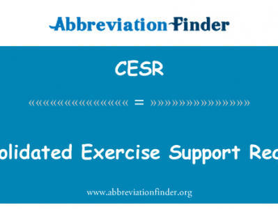 统一的行使支持请求英文定义是Consolidated Exercise Support Request,首字母缩写定义是CESR
