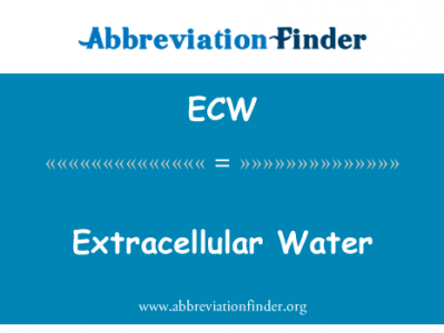胞外的水英文定义是Extracellular Water,首字母缩写定义是ECW