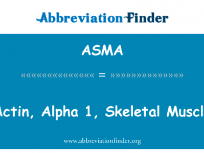 肌动蛋白，α-1 骨骼肌英文定义是Actin, Alpha 1, Skeletal Muscle,首字母缩写定义是ASMA